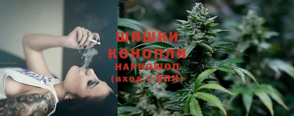 дживик Касимов