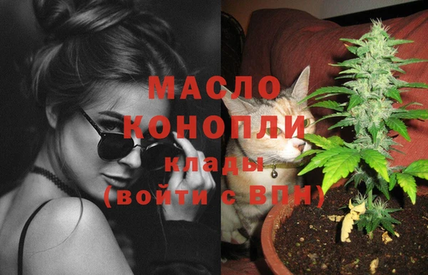 индика Каменка