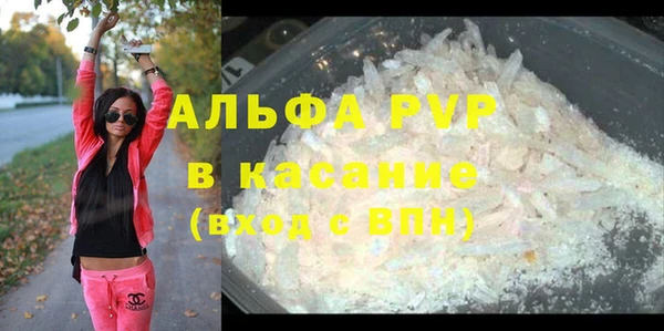 дживик Касимов