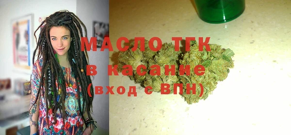 индика Каменка