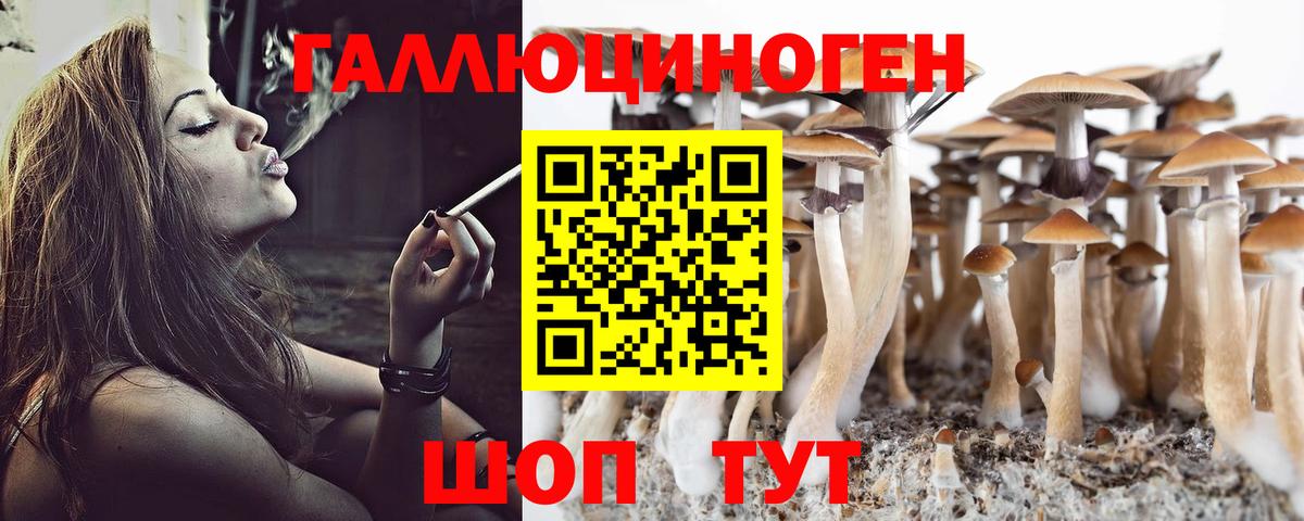 Псилоцибиновые грибы GOLDEN TEACHER  Галлюциногенные грибы Magic Shrooms  Вход с VPN  наркошоп  Чернушка 